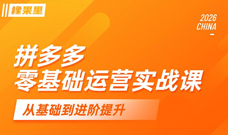仙道电商·拼多多零基础运营实战课-马哥的资源库