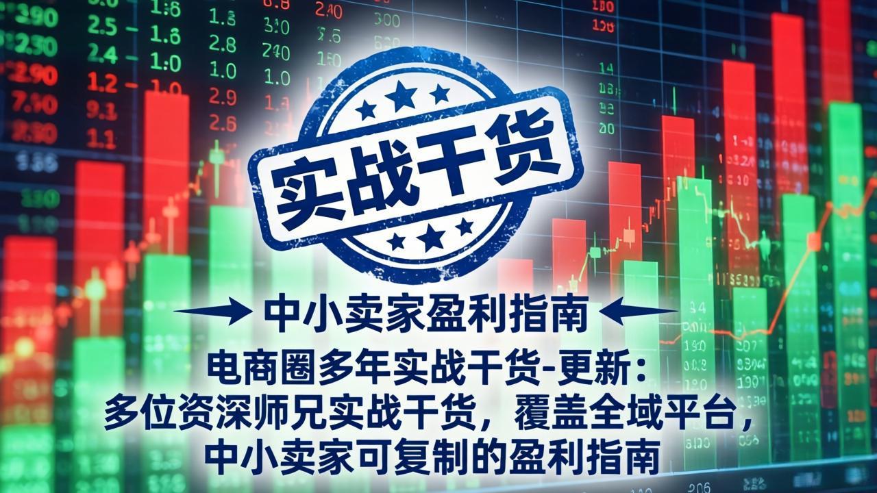 电商圈多年实战干货-更新2026：多位资深师兄实战干货/覆盖全域平台，中小卖家可复制的盈利指南-马哥的资源库